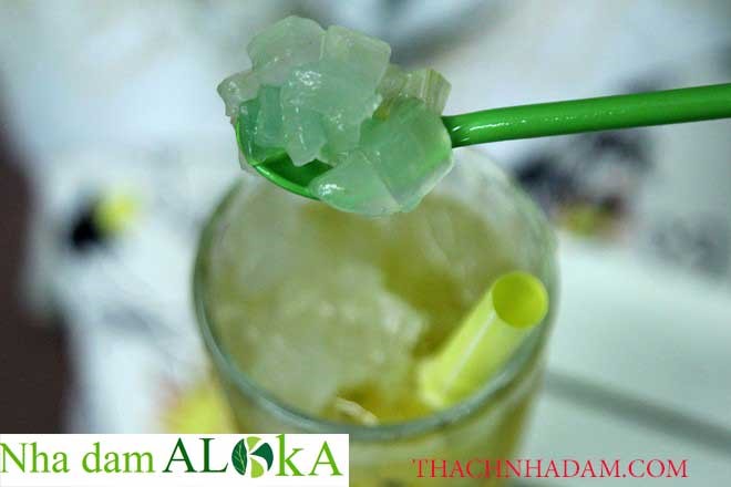 thạch nha đam Aloka tự nhiên