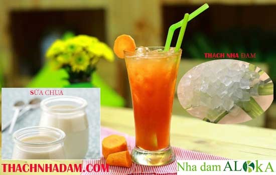 sữa chua cà rốt nha đam