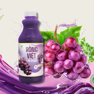 SINH TỐ NHO RỒNG VIỆT